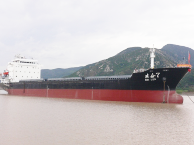 10000DWT bulk carrier